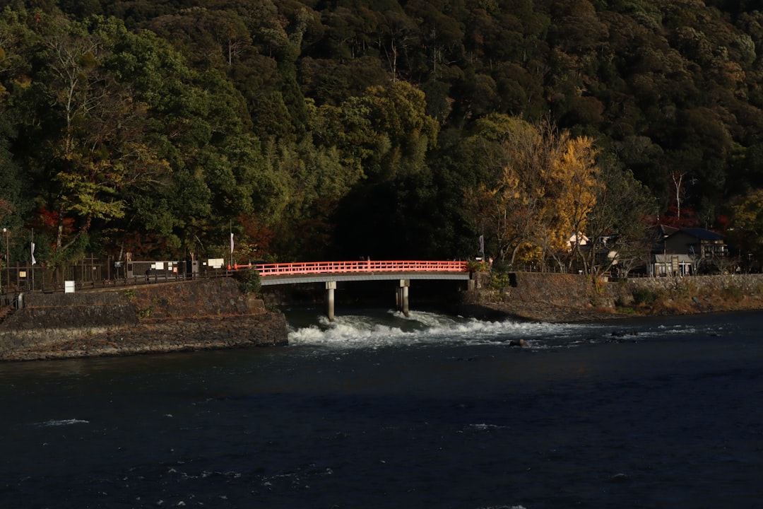 Discovering the Kibune River: A Natural Gem in Kyoto - Kyoto | Secret World Trip Planner