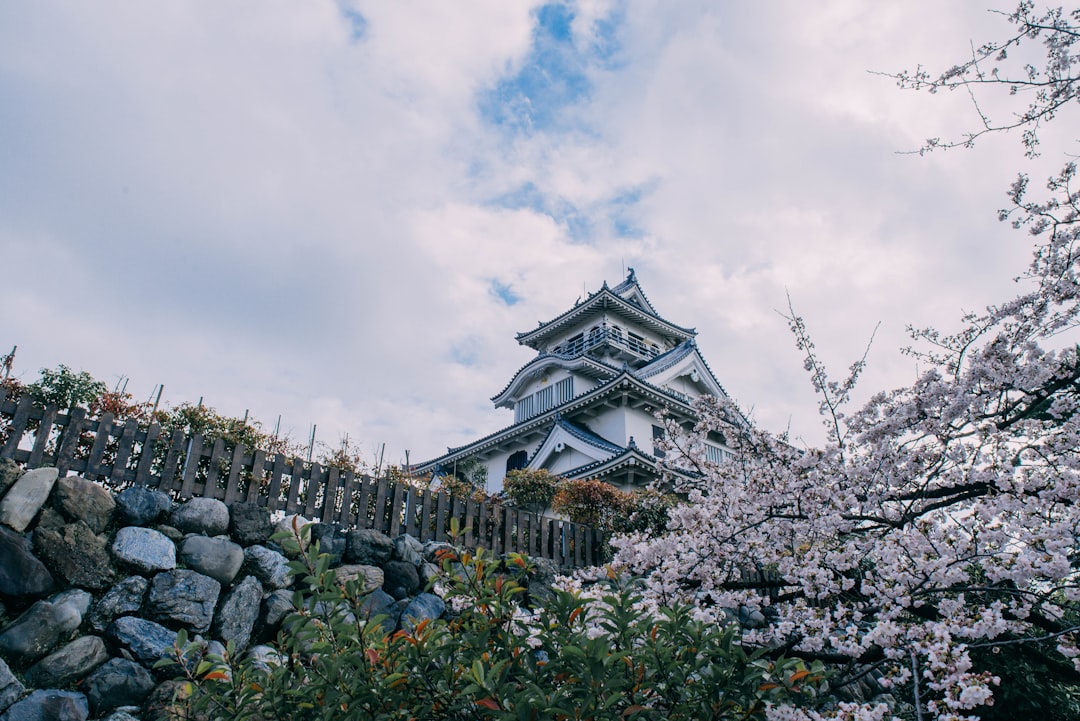 Scopri la Storia e la Bellezza del Castello di Nagahama - Nagahama | Secret World Trip Planner