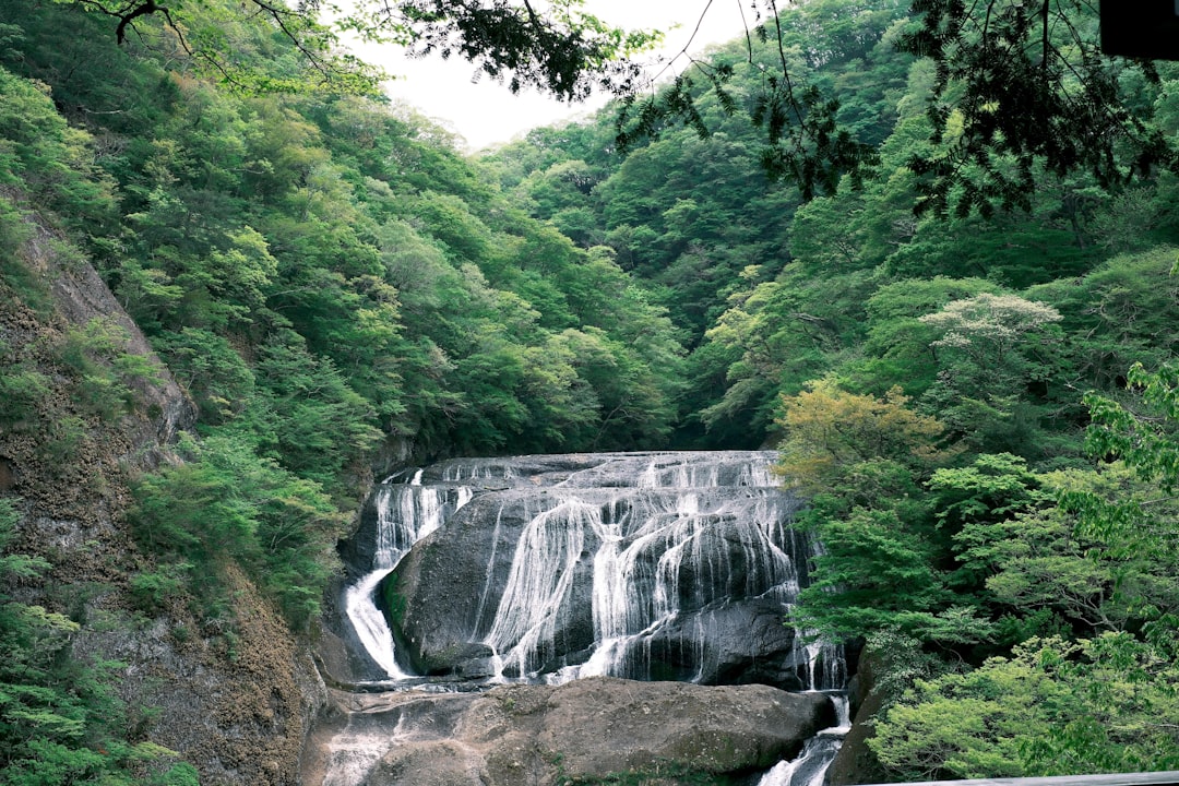 Discover the Wonders of Minoh Waterfall in Japan - Minoh | Secret World Trip Planner