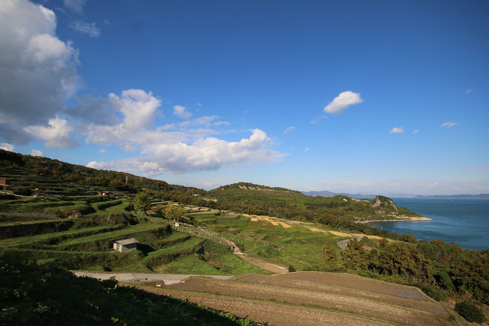 Discovering Teshima Island: A Hidden Gem in Japan - Tonosho | Secret World Trip Planner