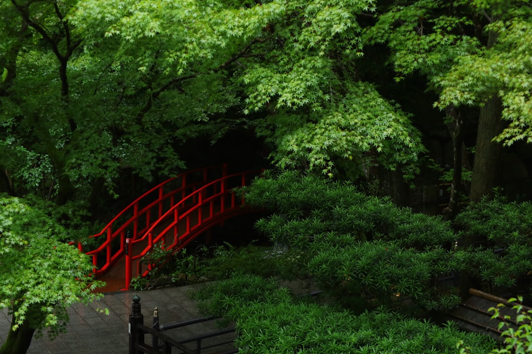 Discover Nanzoin Temple in Sasaguri: A Cultural Treasure of Japan — Sasaguri