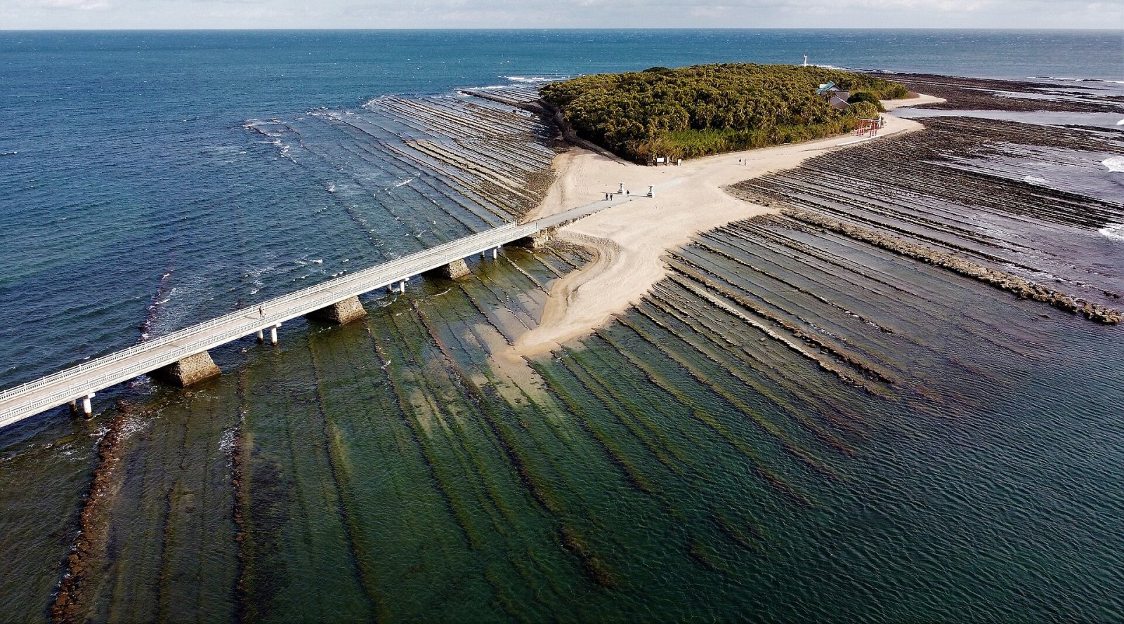 Aoshima Island: A Natural Paradise in the Heart of Japan - Nichinan | Secret World Trip Planner