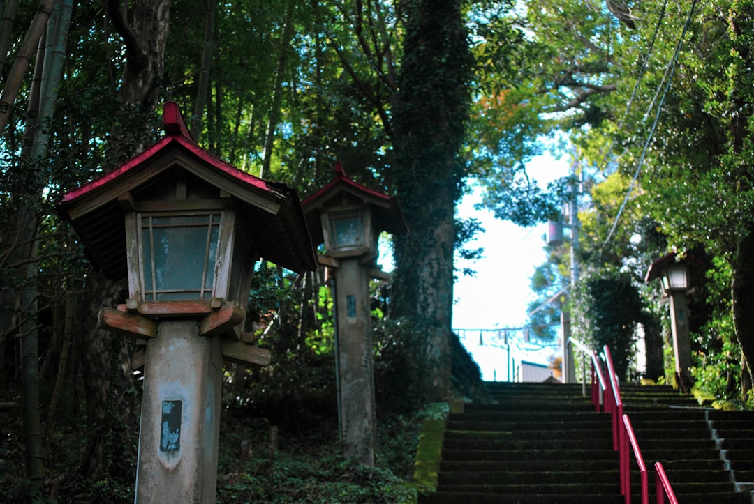 Udo Shrine: A Cultural Treasure in Nichinan, Kyushu - Nichinan | Secret World Trip Planner