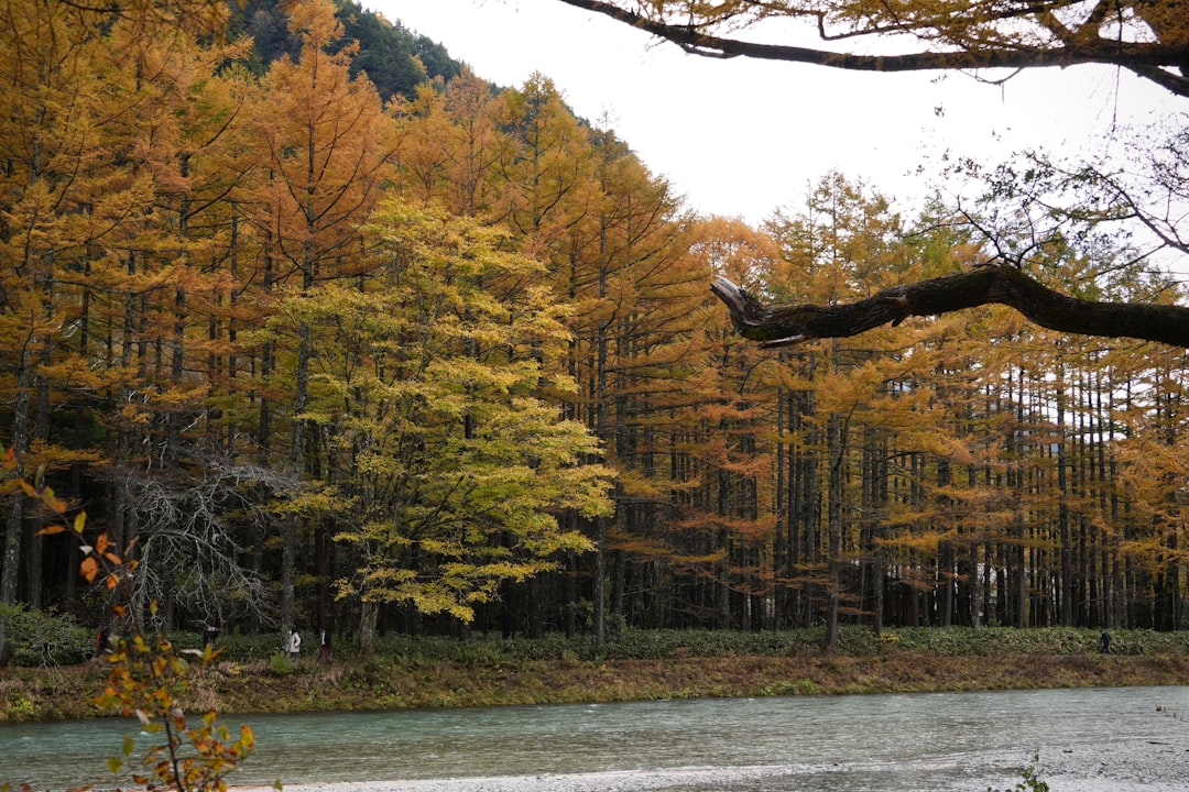 Erkunden Sie den Genkai Quasi-Nationalpark: Natur und Kultur in Fukuoka - Fukuoka | Secret World Trip Planner