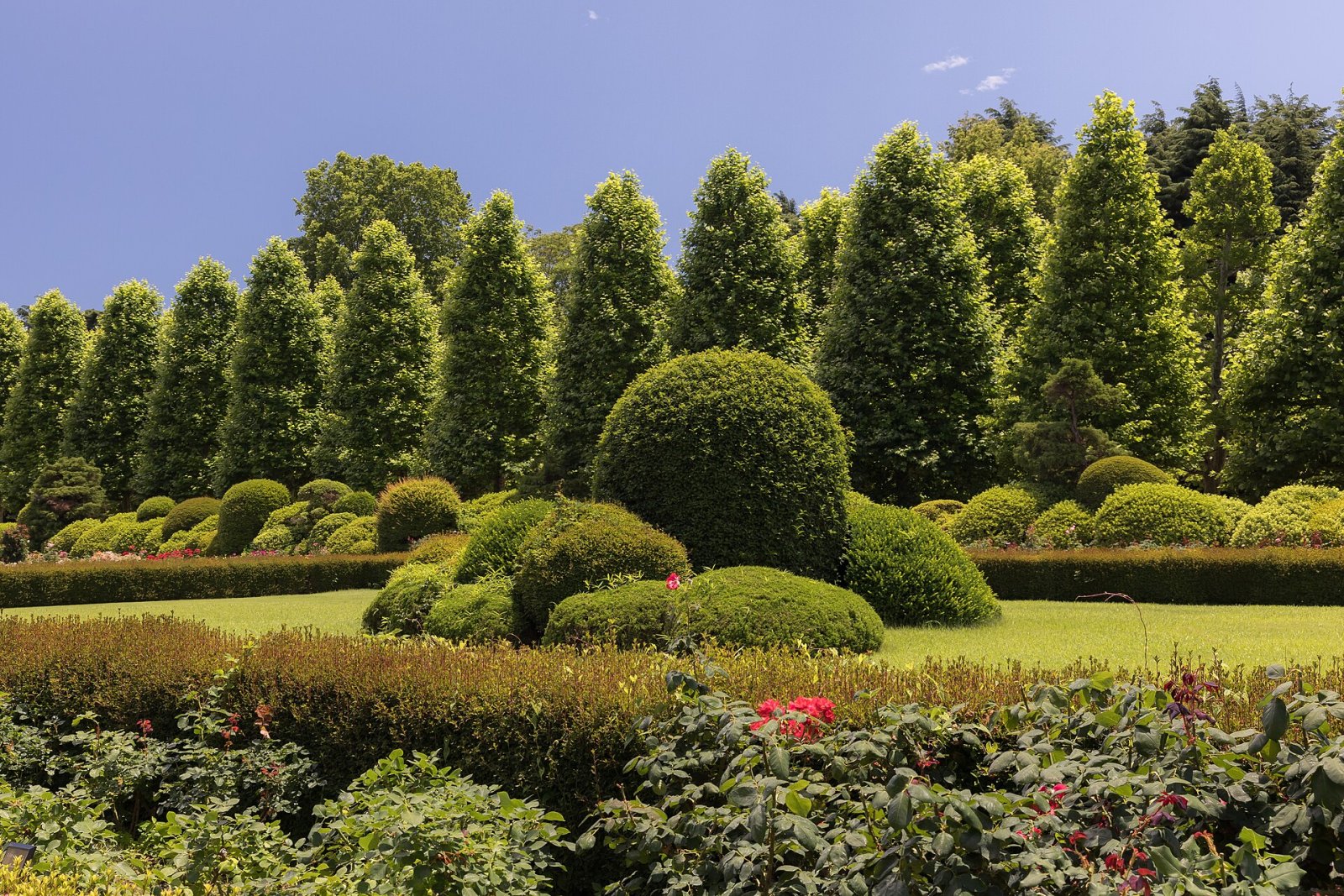 Discover Shinjuku Gyoen: A Nature Oasis in Tokyo - Shinjuku City | Secret World Trip Planner