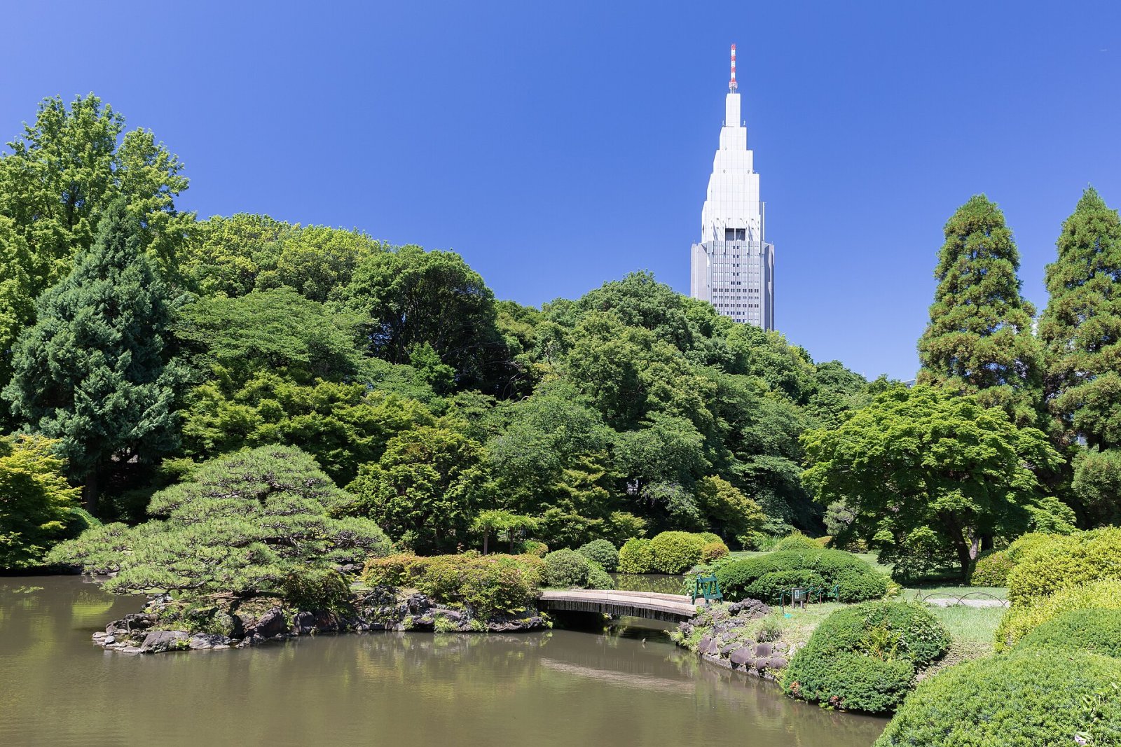 Discover Shinjuku Gyoen: A Nature Oasis in Tokyo - Shinjuku City | Secret World Trip Planner