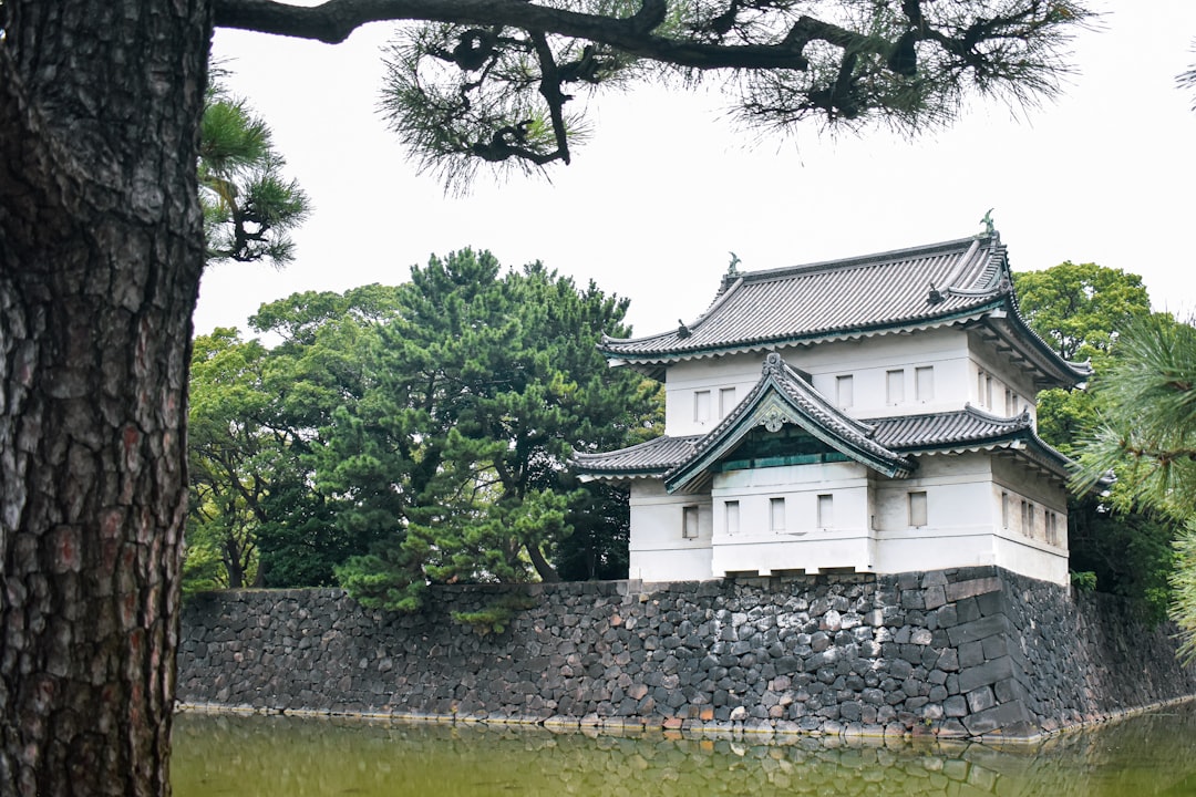 Edo Castle Ruins: A Journey Through Tokyo's History — Chiyoda City