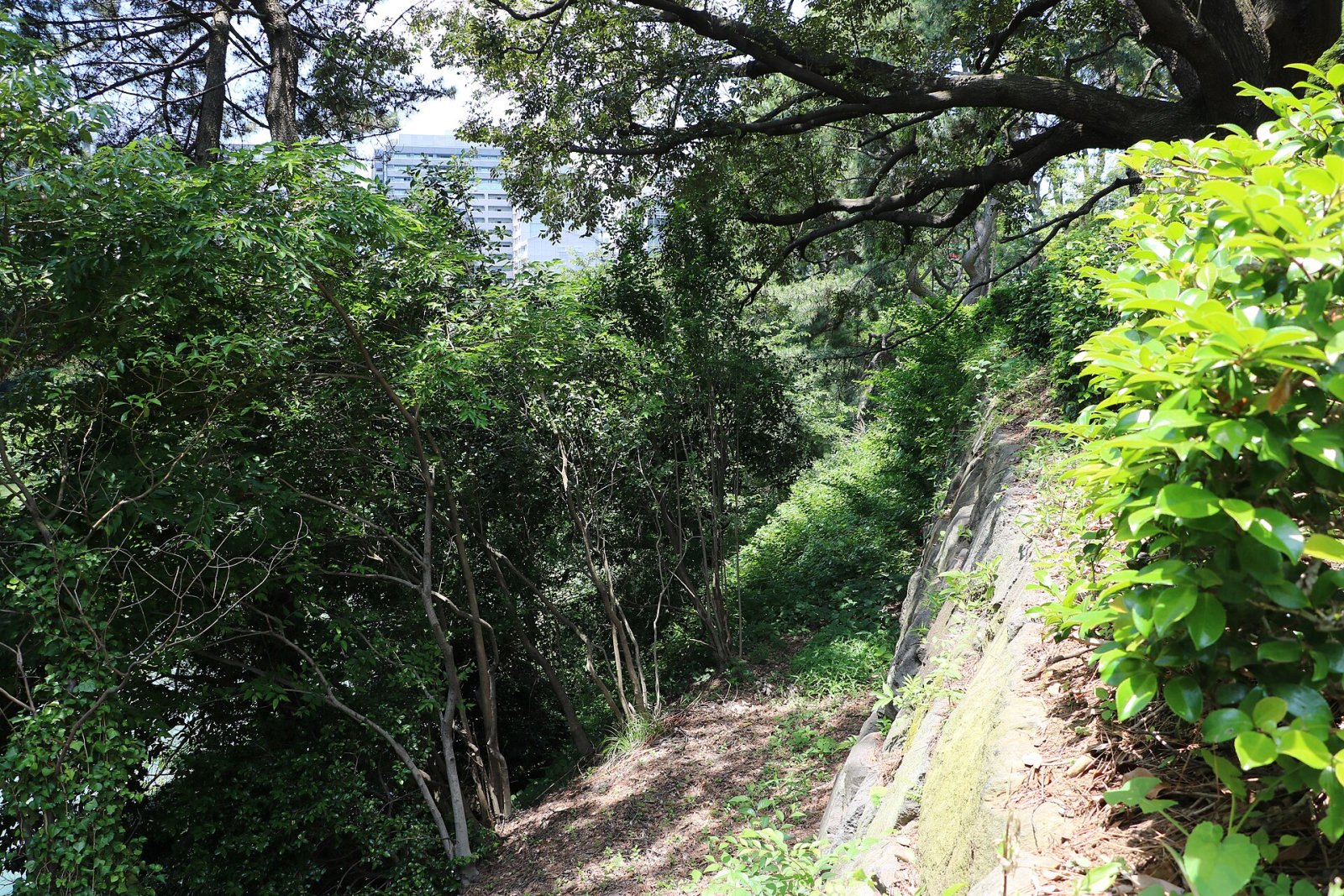 Edo Castle Ruins: A Journey Through Tokyo's History - Chiyoda City | Secret World Trip Planner