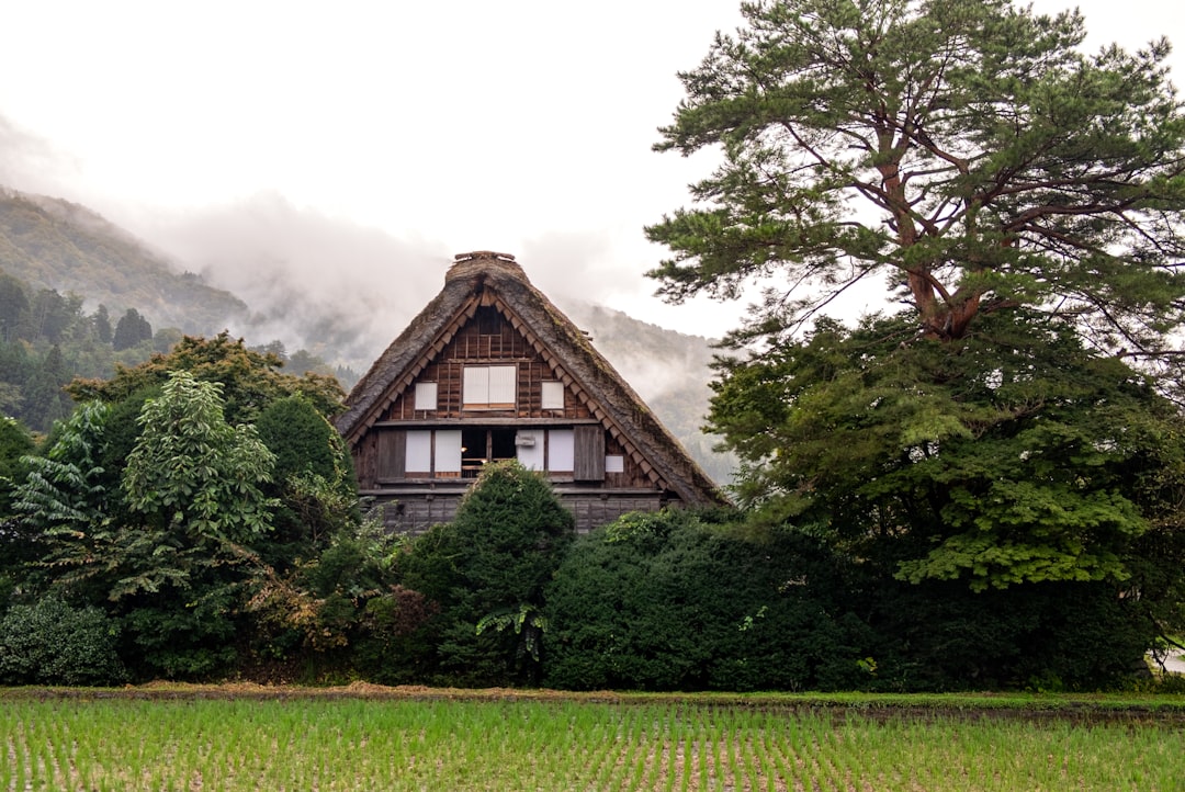Entdecken Sie Shirakawa-go: Ein historisches Juwel im Herzen Japans - Shirakawa | Secret World Trip Planner