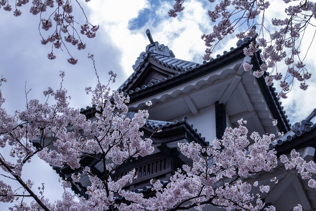 Entdecken Sie das Kanazawa Schloss: ein historischer Schatz Japans - Kanazawa | Secret World Trip Planner