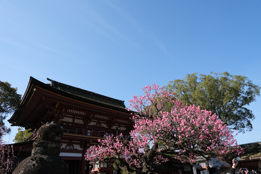 Discovering Atsuta Shrine: A Treasure of Nagoya - Nagoya | Secret World Trip Planner