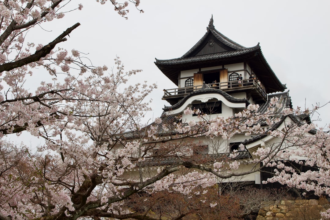 Inuyama Castle: un tesoro di storia in Giappone — Inuyama