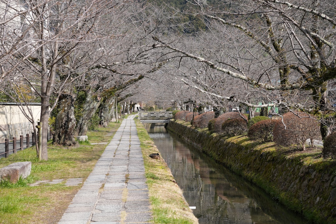 Scopri il Sentiero dei Filosofi a Kyoto: Un Viaggio nella Natura — Kyoto
