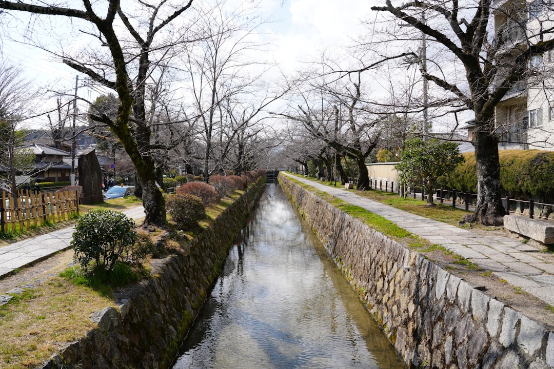 Scopri il Sentiero dei Filosofi a Kyoto: Un Viaggio nella Natura - Kyoto | Secret World Trip Planner