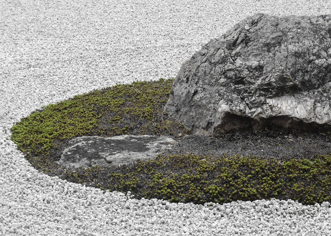 Ryoan-ji: il Tempio Zen di Kyoto tra storia e bellezza - Kyoto | Secret World Trip Planner