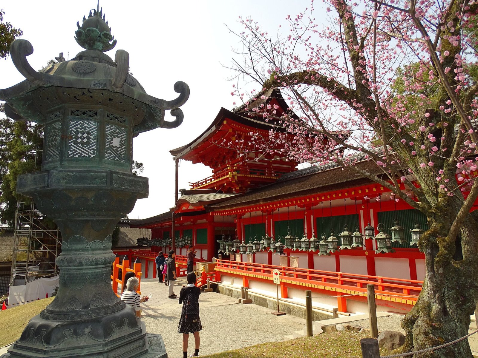 Kasuga Grand Shrine: un tesoro culturale a Nara - Nara | Secret World Trip Planner