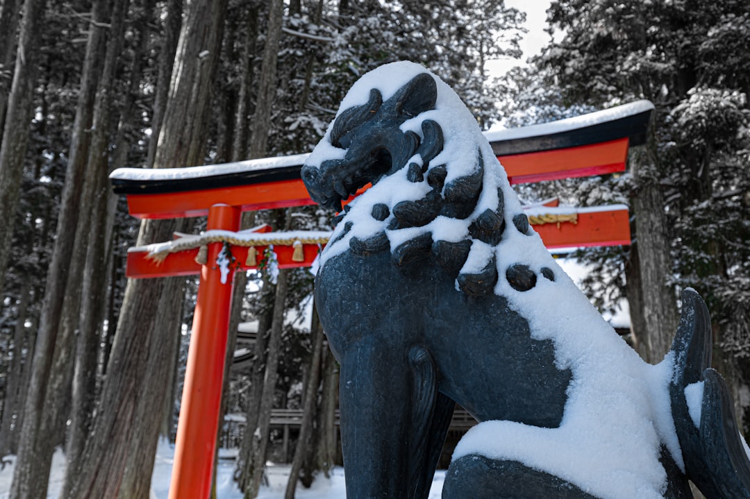 Discover Mount Koya: the Spiritual Heart of Japan - Koya | Secret World Trip Planner