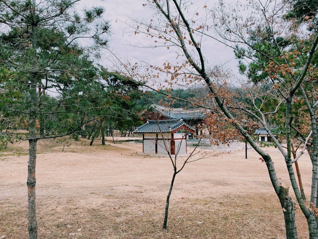 Ulsanbawi Rock: Das Naturwunder von Sokcho — Sokcho-si