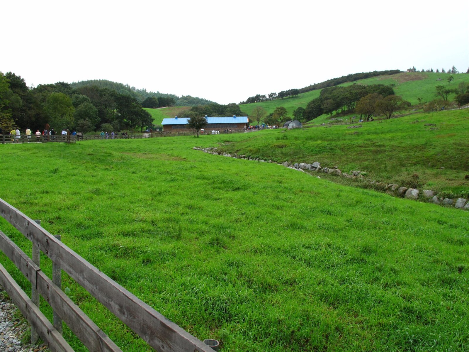 Discover the Daegwallyeong Sheep Farm in Pyeongchang — Pyeongchang-gun
