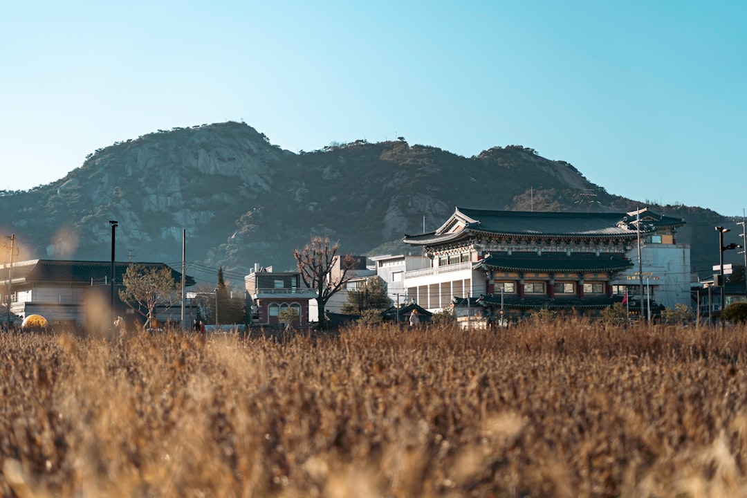 Discover the Daegwallyeong Sheep Farm in Pyeongchang - Pyeongchang-gun | Secret World Trip Planner