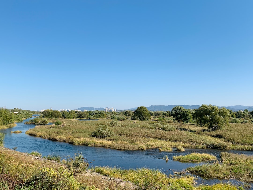 Entdecke den Palgongsan Naturpark: Ein Schatz der Natur in Daegu — Dong-gu