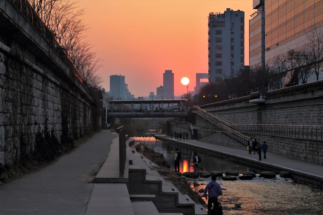 Scopri Cheonggyecheon: il gioiello naturale di Seoul — Jongno District