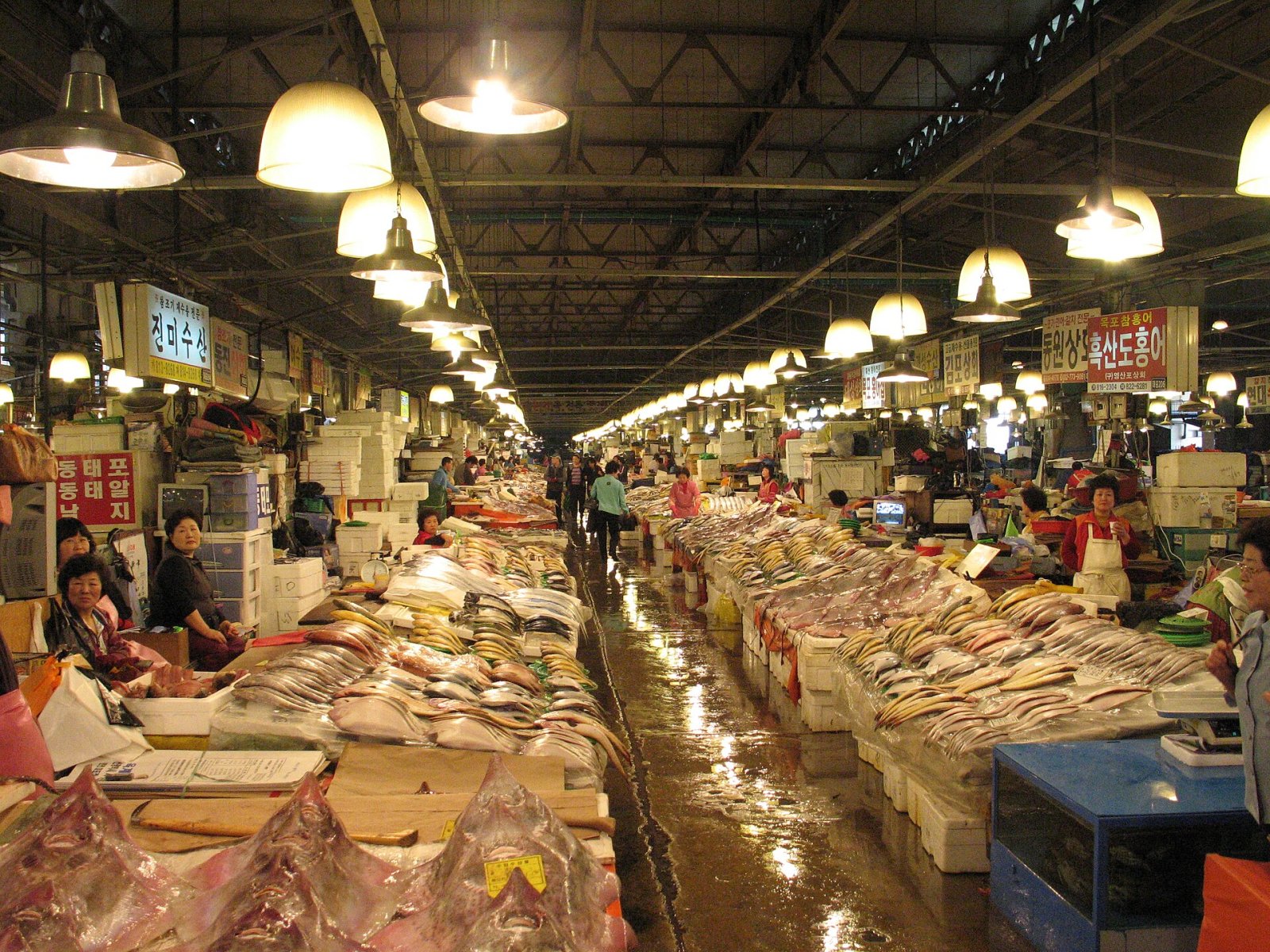 Noryangjin Fish Market: A Journey Through the Flavors of Seoul — Dongjak District