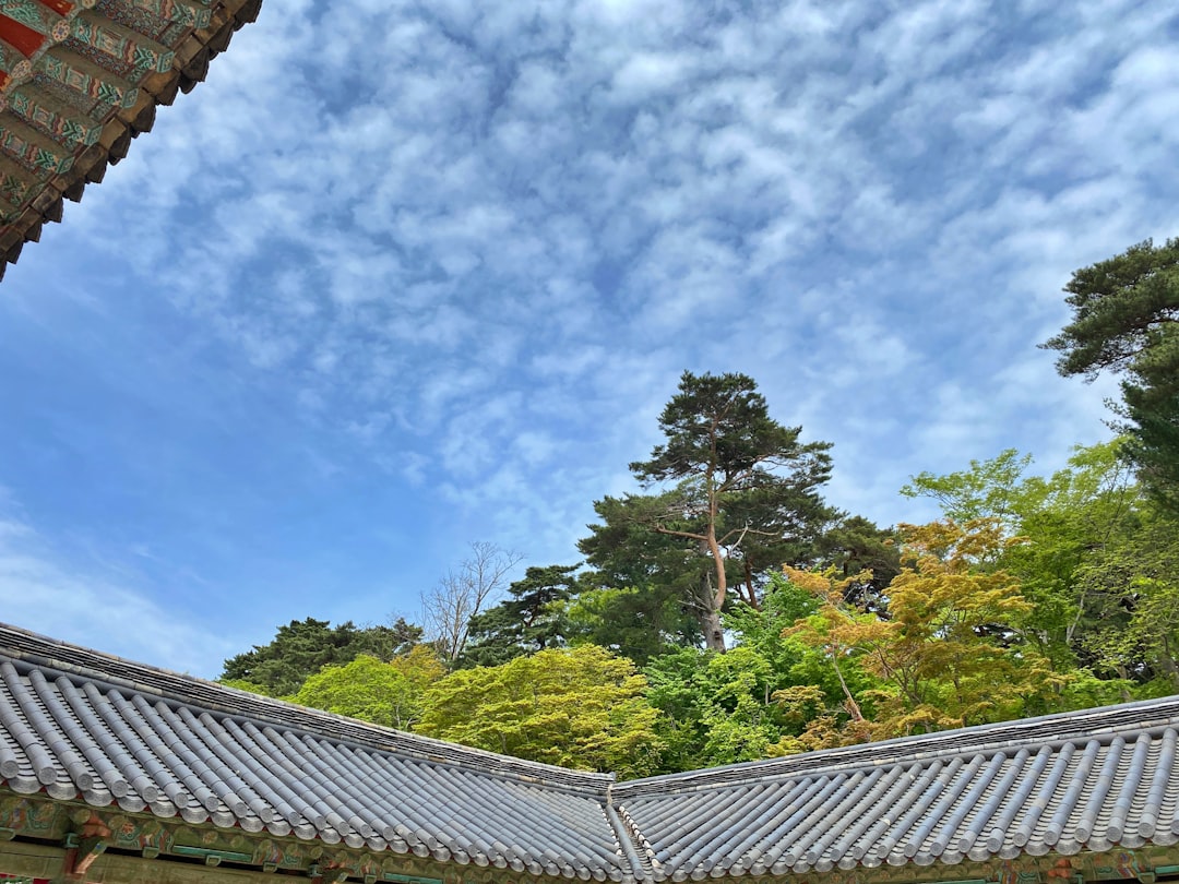 Gyeongju: Eine Reise in die Geschichte Koreas - Gyeongju | Secret World Trip Planner