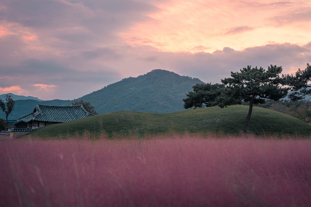 Entdecken Sie den Tumuli Park in Gyeongju: Eine Reise in die koreanische Geschichte — Gyeongju