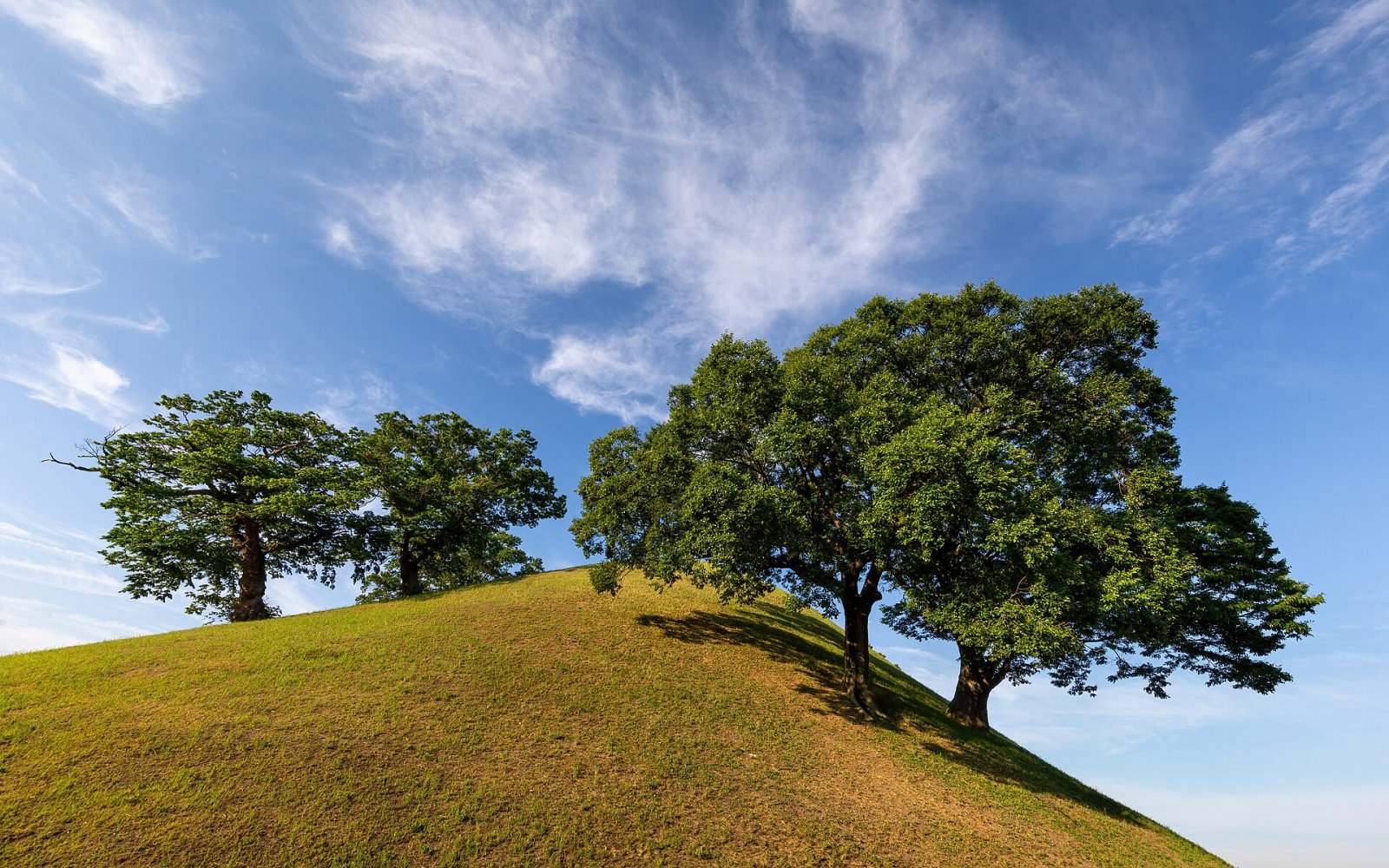 Entdecken Sie den Tumuli Park in Gyeongju: Eine Reise in die koreanische Geschichte - Gyeongju | Secret World Trip Planner