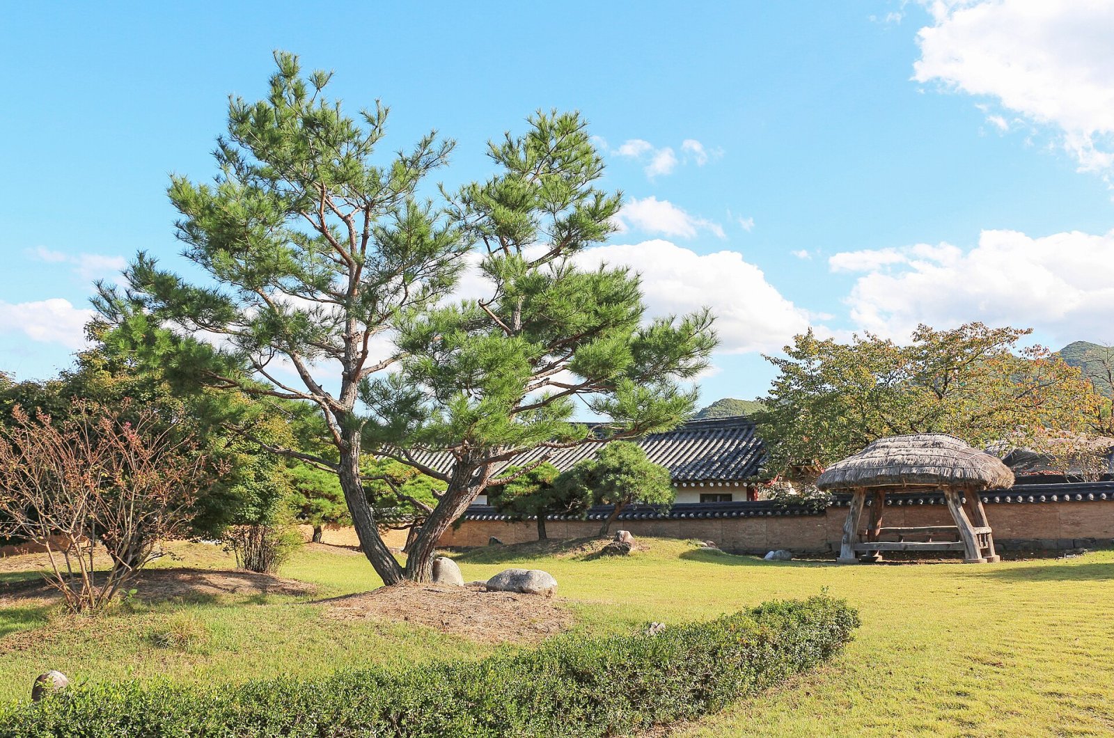 Discover Hahoe Folk Village: A Cultural Treasure in South Korea - Andong | Secret World Trip Planner