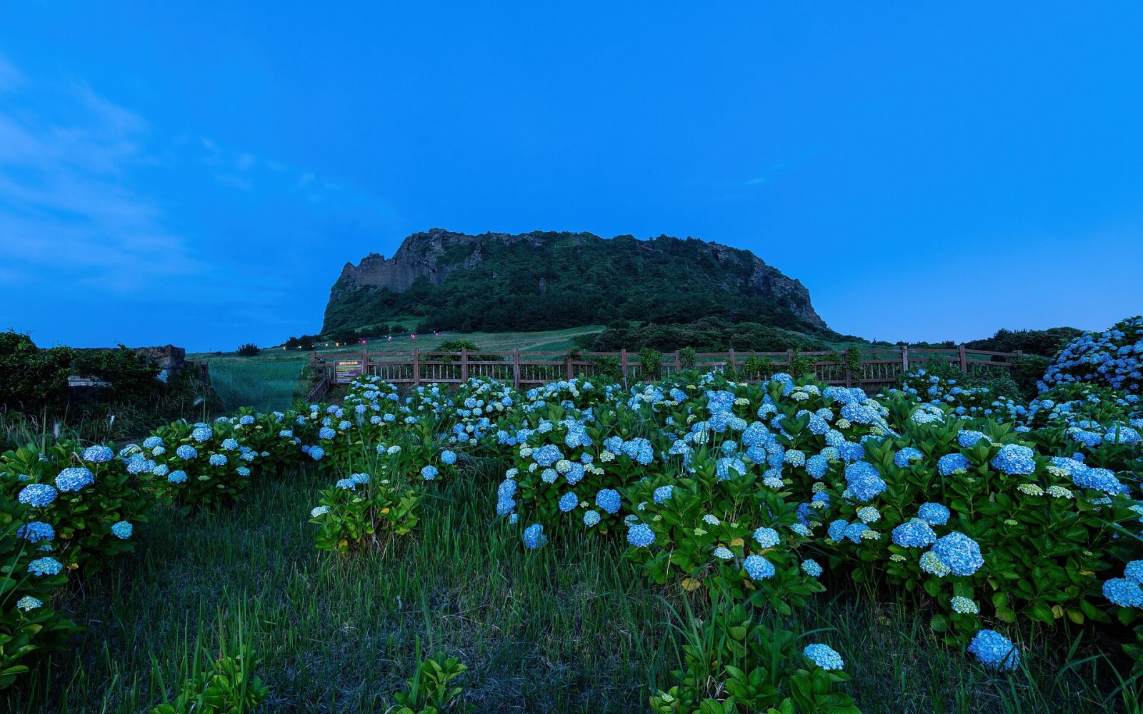 Jeju Island: Ein Naturparadies zum Entdecken - Cheju | Secret World Trip Planner