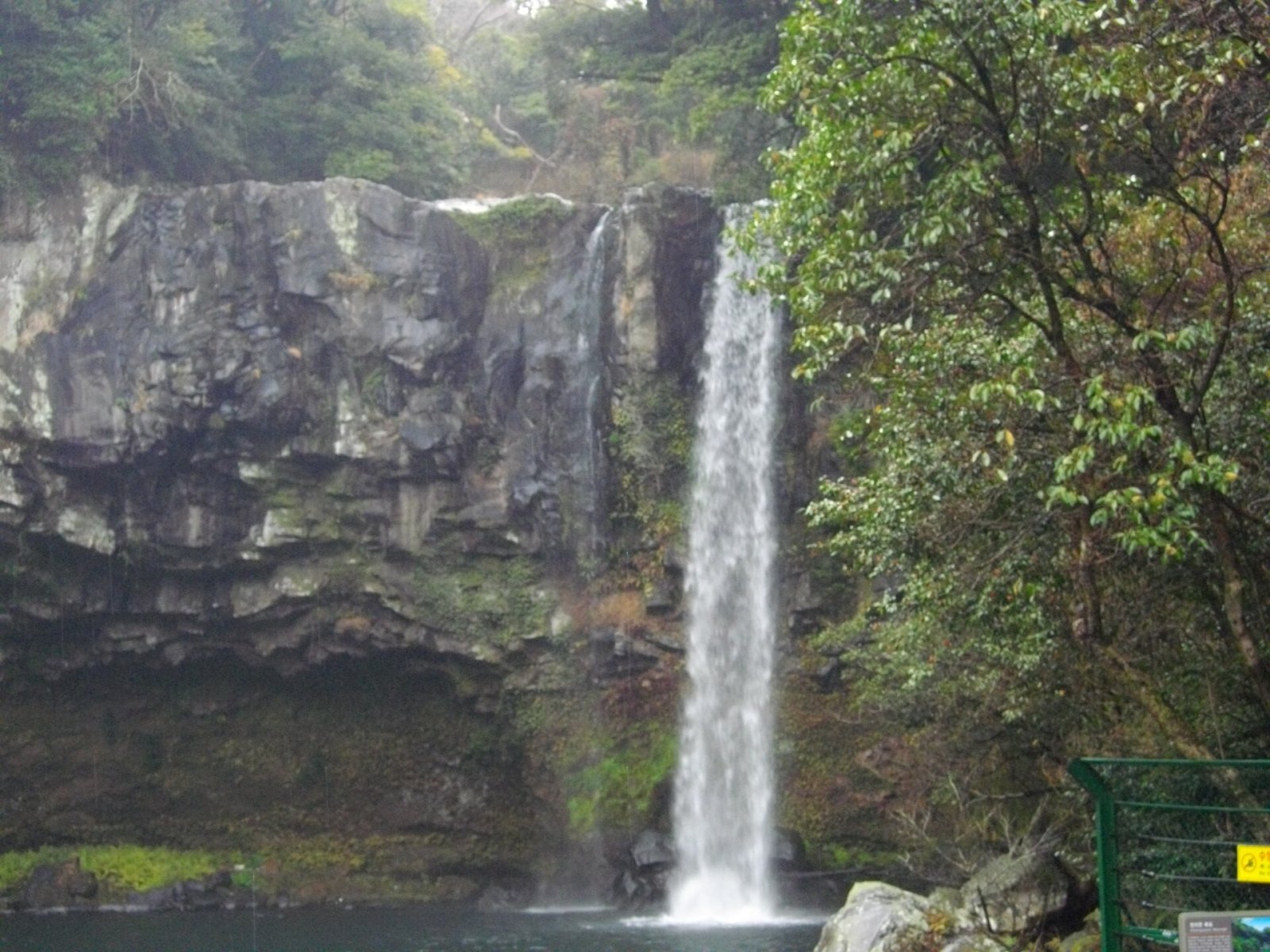 Entdecken Sie die Wunder des Cheonjiyeon Wasserfalls auf Jeju - Seogwipo | Secret World Trip Planner