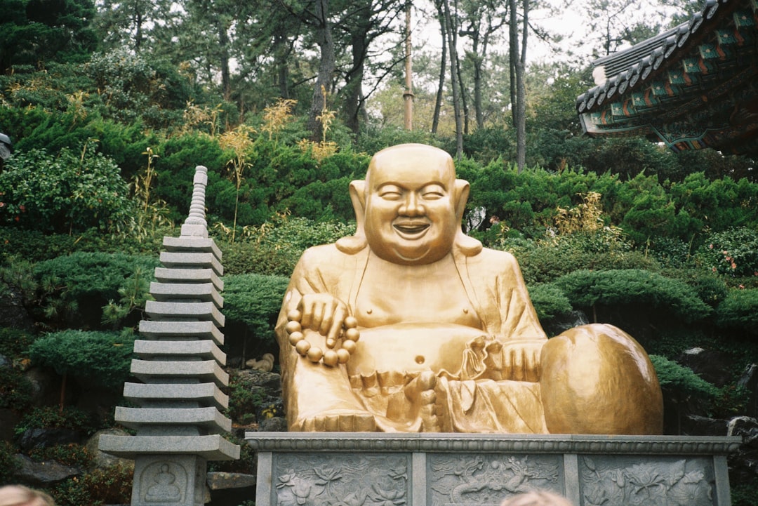 Besuch des UN-Gedenkfriedhofs in Busan - Nam-gu | Secret World Trip Planner