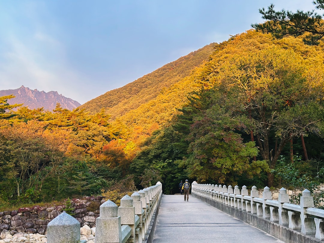 Seoraksan National Park: A Natural Paradise in South Korea — 강원 속초시 설악동