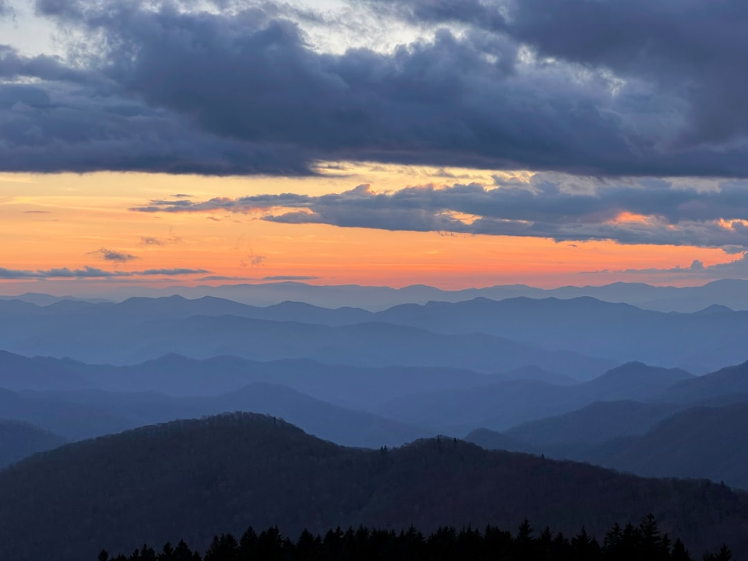 Entdecken Sie den Blue Ridge Parkway: eine Reise durch Natur und Kultur