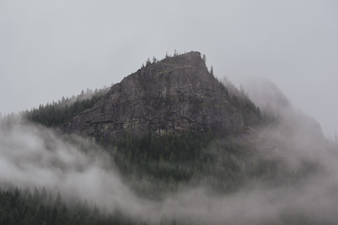 Discover the Magic of Great Smoky Mountains National Park