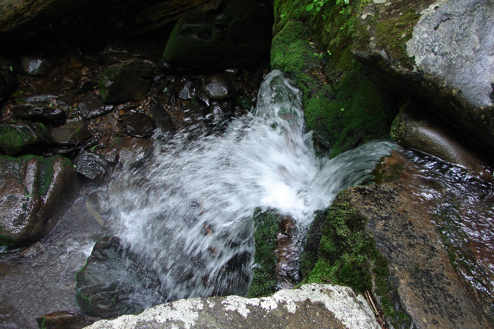 Discover the Magic of Great Smoky Mountains National Park | Secret World Trip Planner