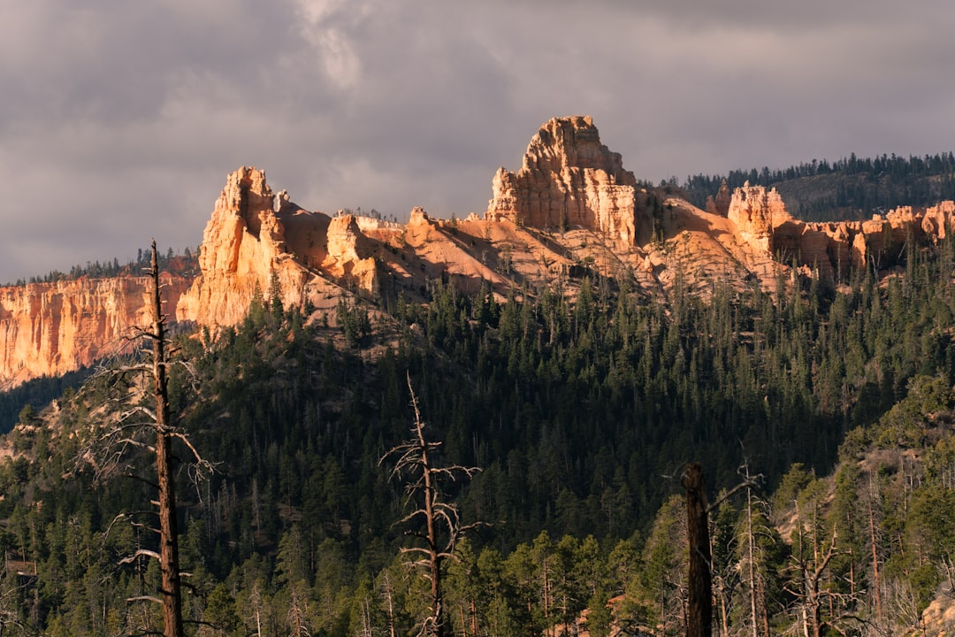 Chimney Tops Trail: An Adventure in Tennessee's Nature | Secret World Trip Planner