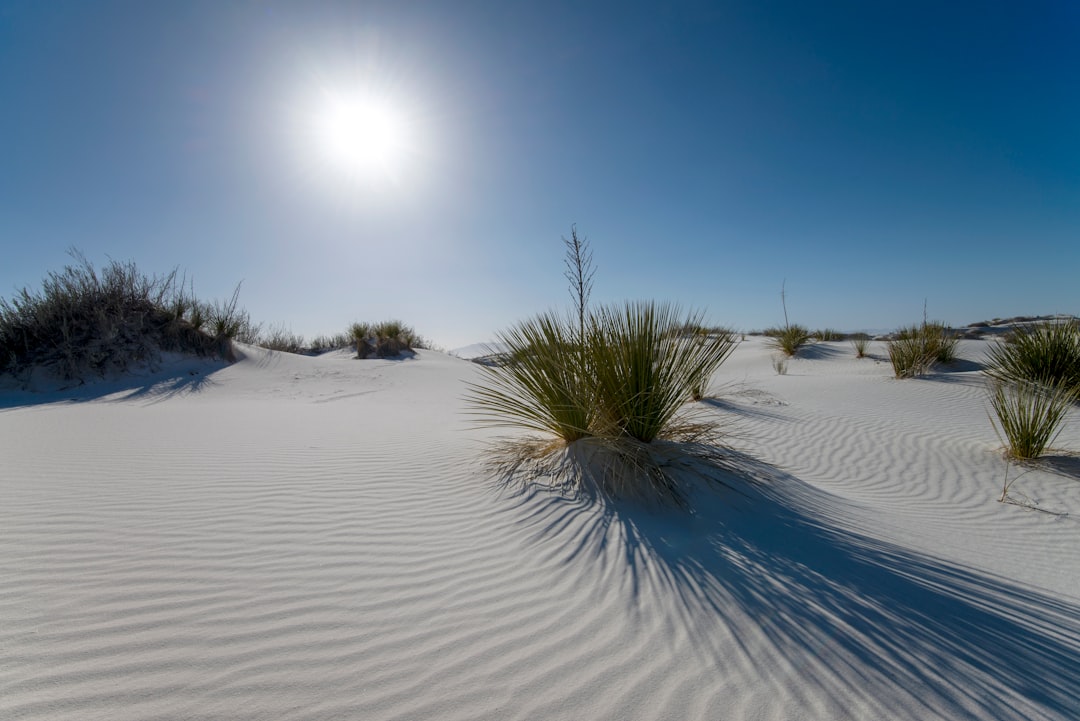 Discover the Magic of White Sands National Park in New Mexico — Hanzhong