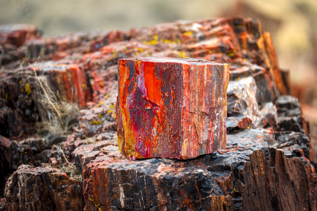 Scopri il Petrified Forest National Park in Arizona - Weinan | Secret World Trip Planner