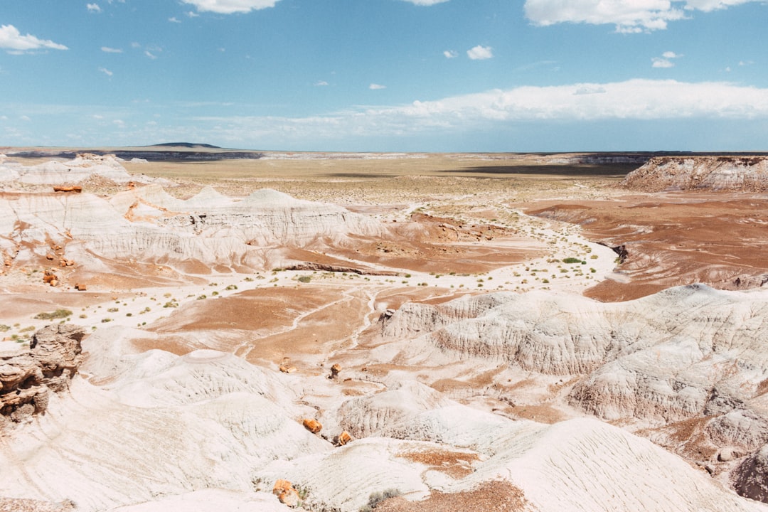Entdecken Sie den Petrified Forest National Park in Arizona — Weinan