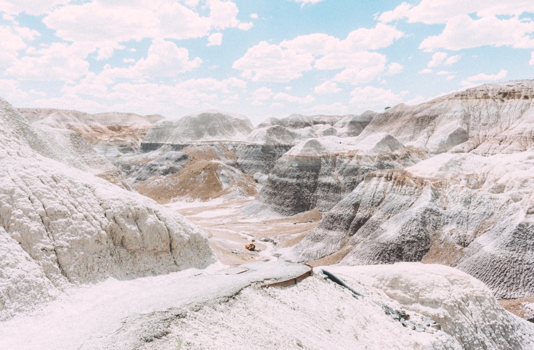 Entdecken Sie den Petrified Forest National Park in Arizona - Weinan | Secret World Trip Planner