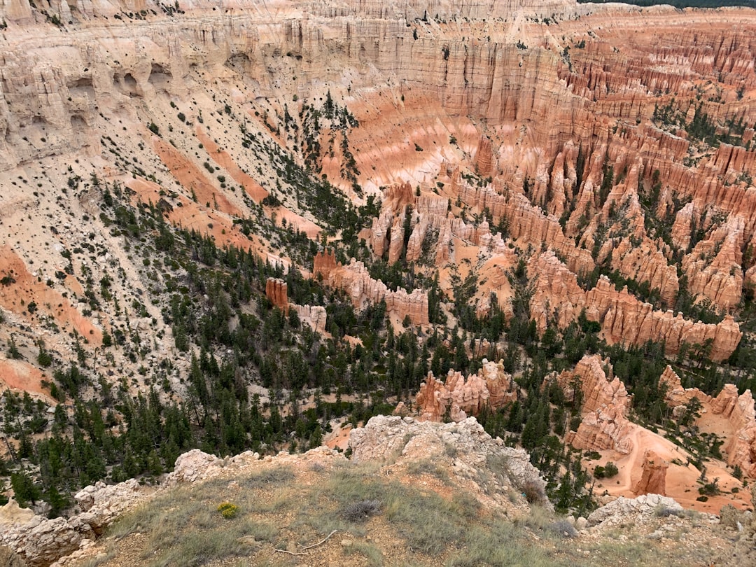 Entdecken Sie den Bryce Canyon Nationalpark: Ein Juwel in Utah — Lüliang