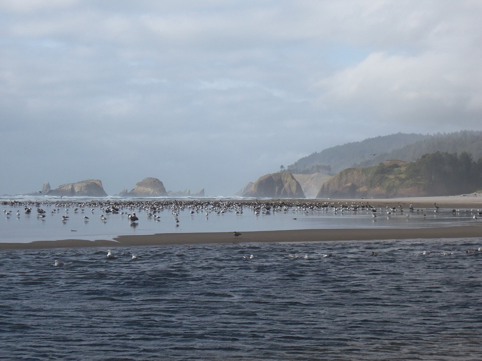 Cannon Beach: A Slice of Paradise in Oregon's Nature | Secret World Trip Planner