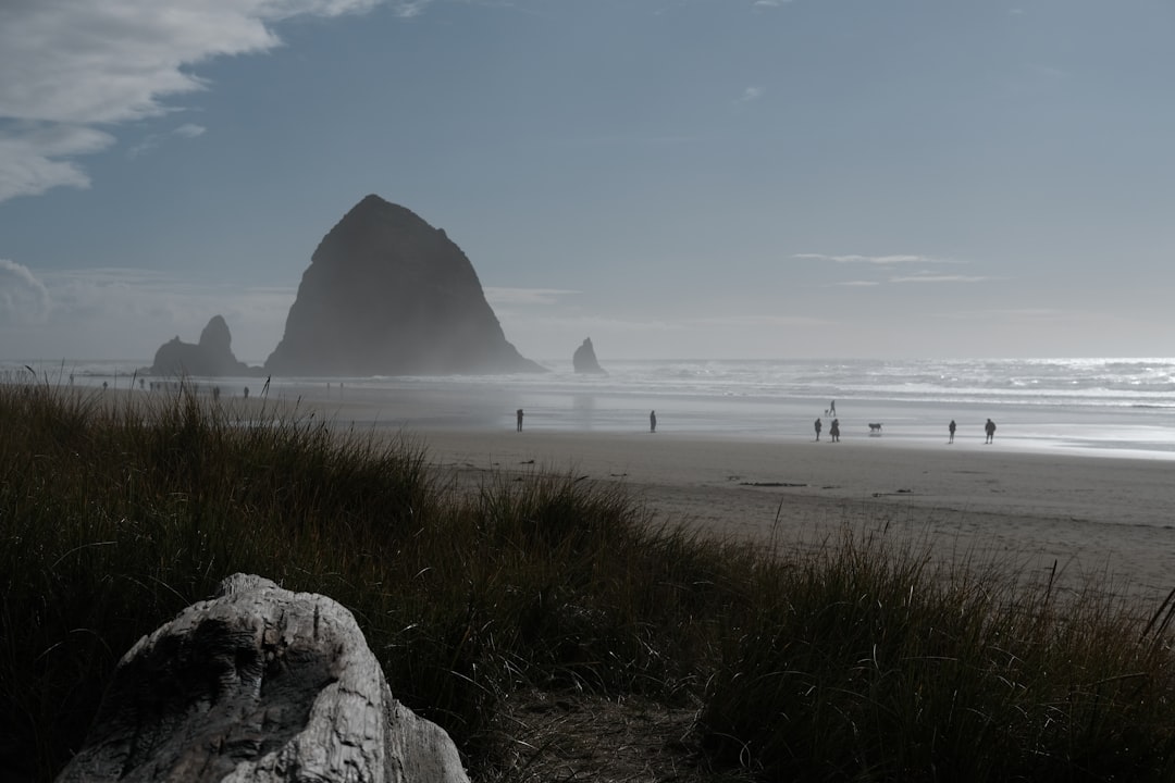 Cannon Beach: Ein Paradies in der Natur von Oregon | Secret World Trip Planner