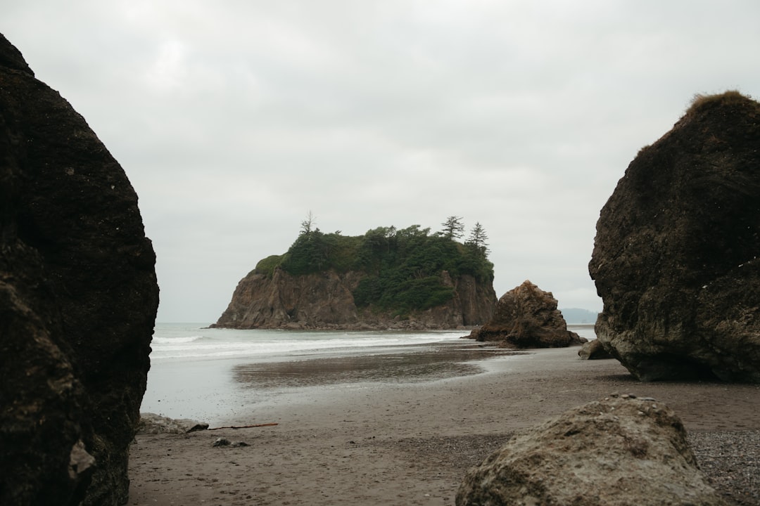 Scopri l'Olympic National Park: un paradiso naturale in Washington - Qiqihar | Secret World Trip Planner
