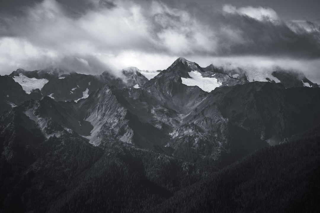 Entdecken Sie den Olympic National Park: Ein Naturparadies in Washington — Qiqihar