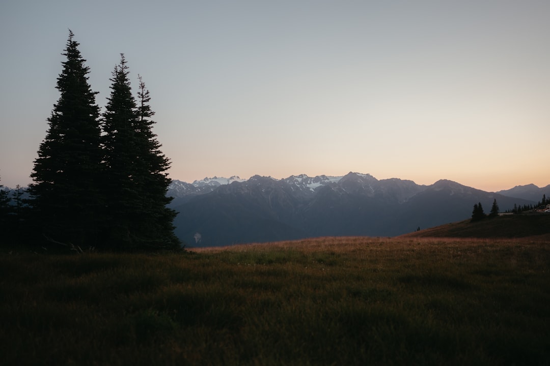 Entdecken Sie den Olympic National Park: Ein Naturparadies in Washington - Qiqihar | Secret World Trip Planner