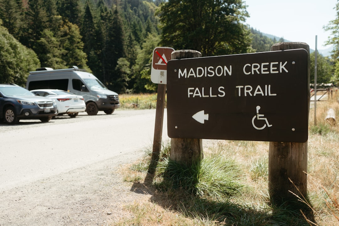 Entdecken Sie die Magie des Hoh-Regenwaldes in Forks, Washington | Secret World Trip Planner